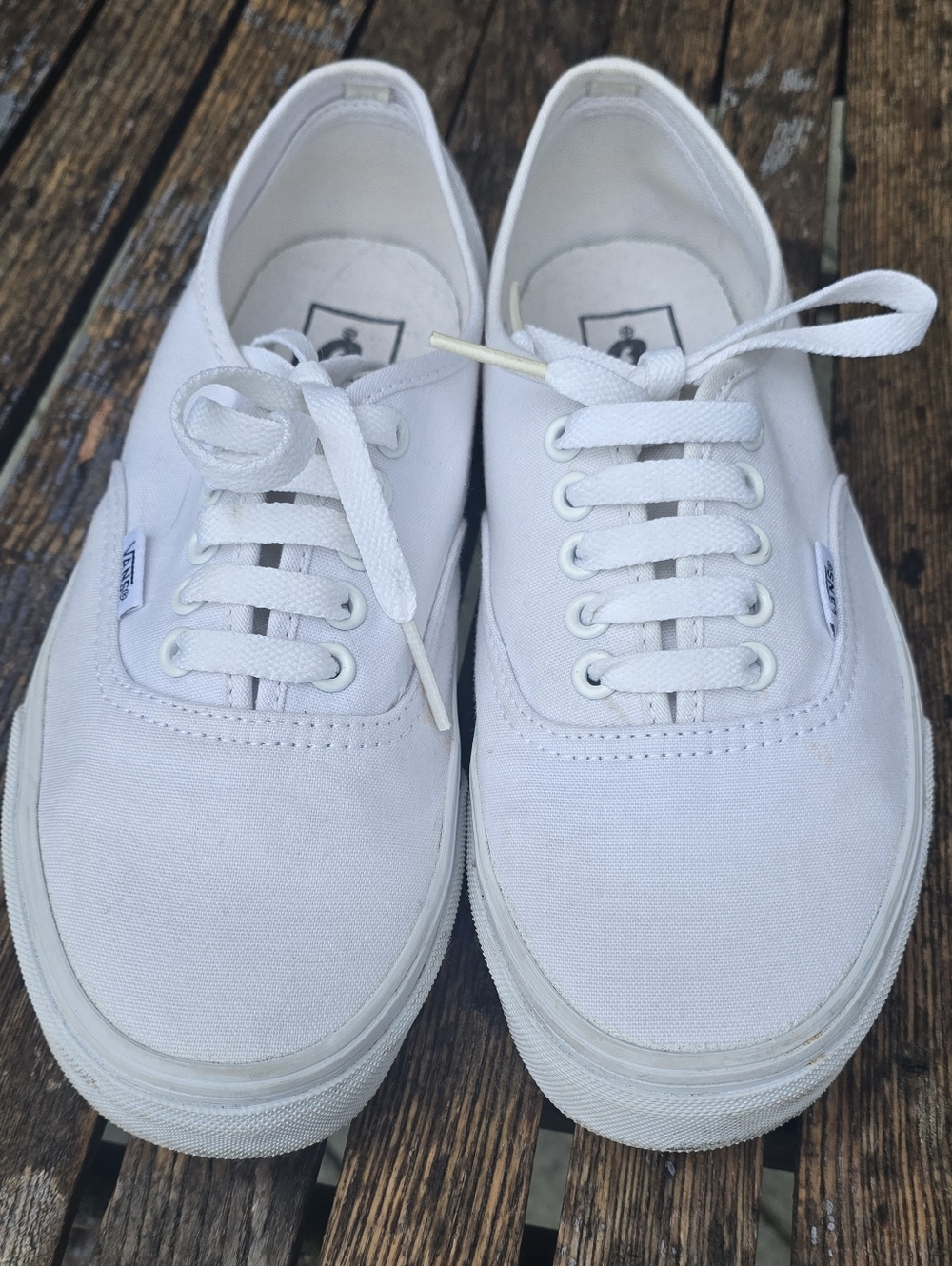 Vans White Low-Top Canvas Sneakers